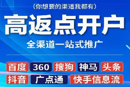 SEO与百度广告的结合：双管齐下的推广案例