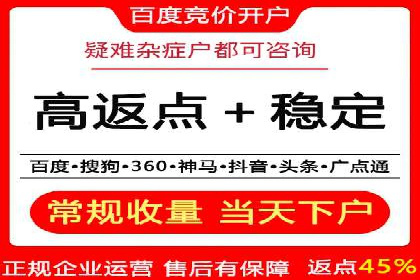 案例解析：百度推广排名提升的实战技巧